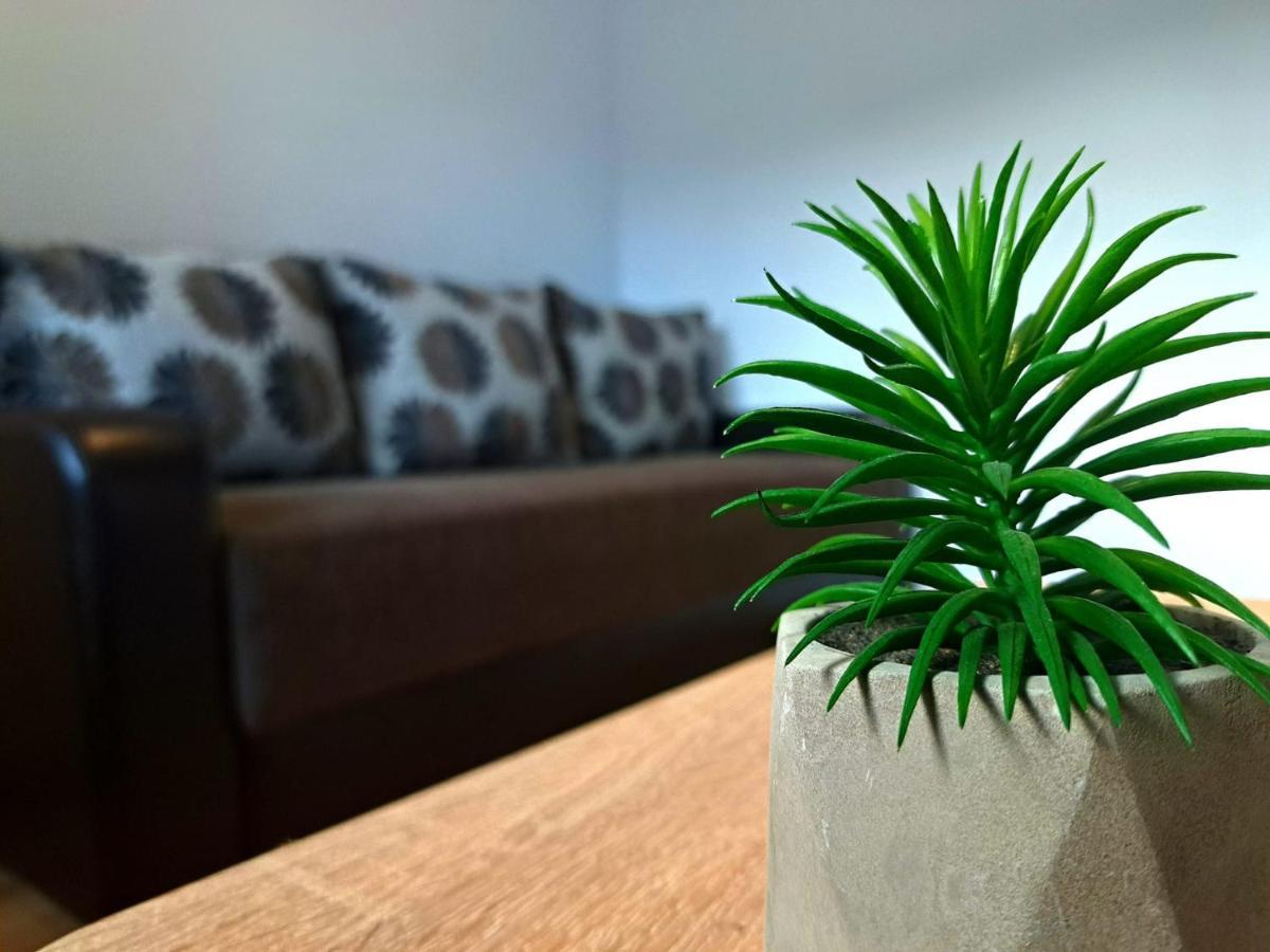 Aviliz Apartament Buşteni Екстериор снимка