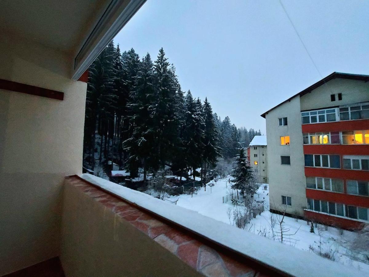 Aviliz Apartament Buşteni Екстериор снимка