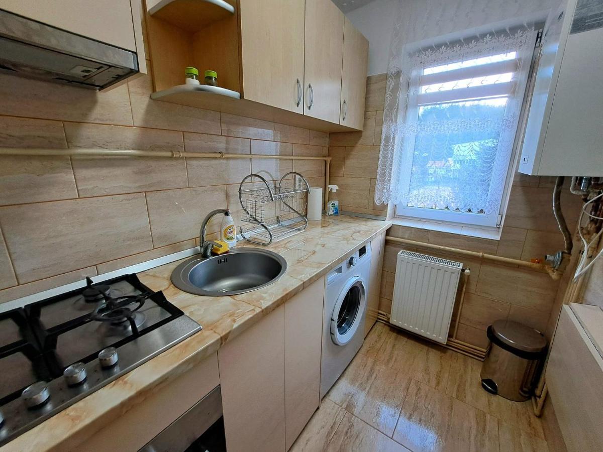 Aviliz Apartament Buşteni Екстериор снимка