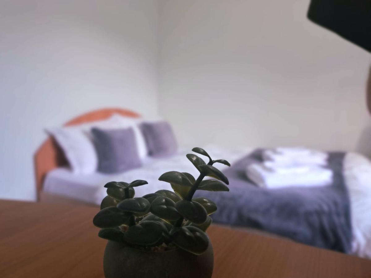 Aviliz Apartament Buşteni Екстериор снимка